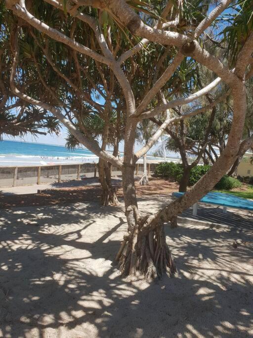 Pet Friendly & Spacious Two Bedroom Guest Unit Caloundra Buitenkant foto